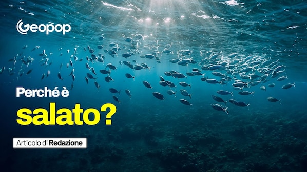 Mare salato