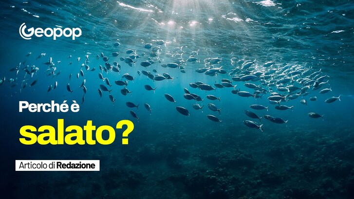 Mare salato