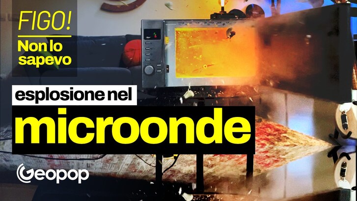 Microonde