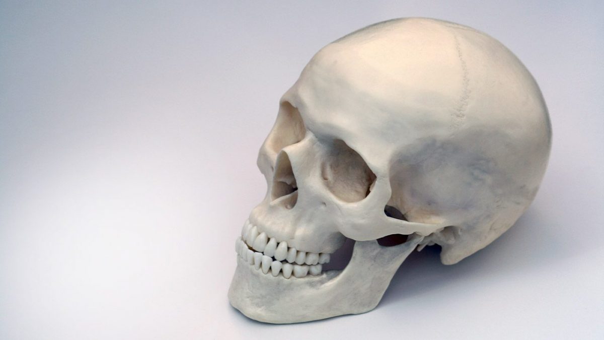 Minerali-corpo-umano