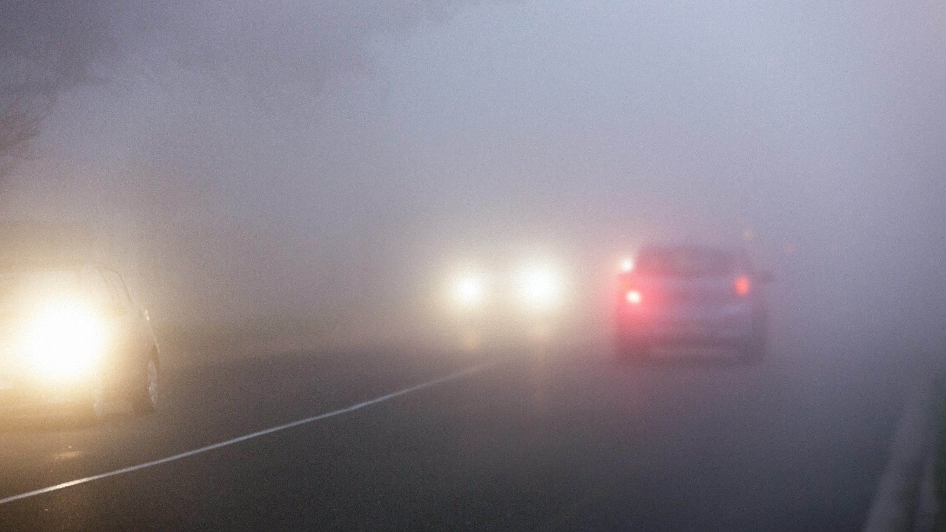 Nebbia