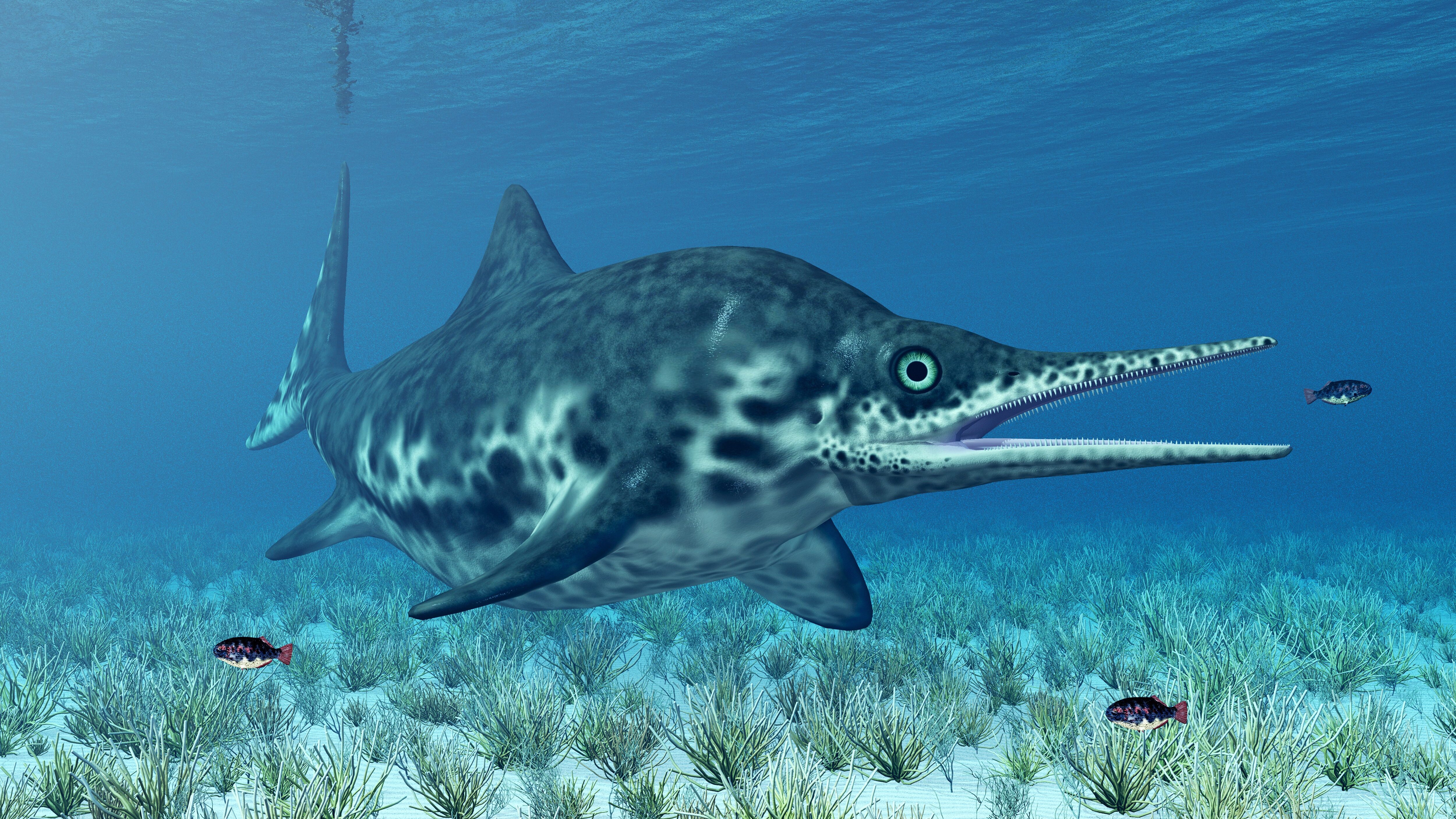 ittiosauro