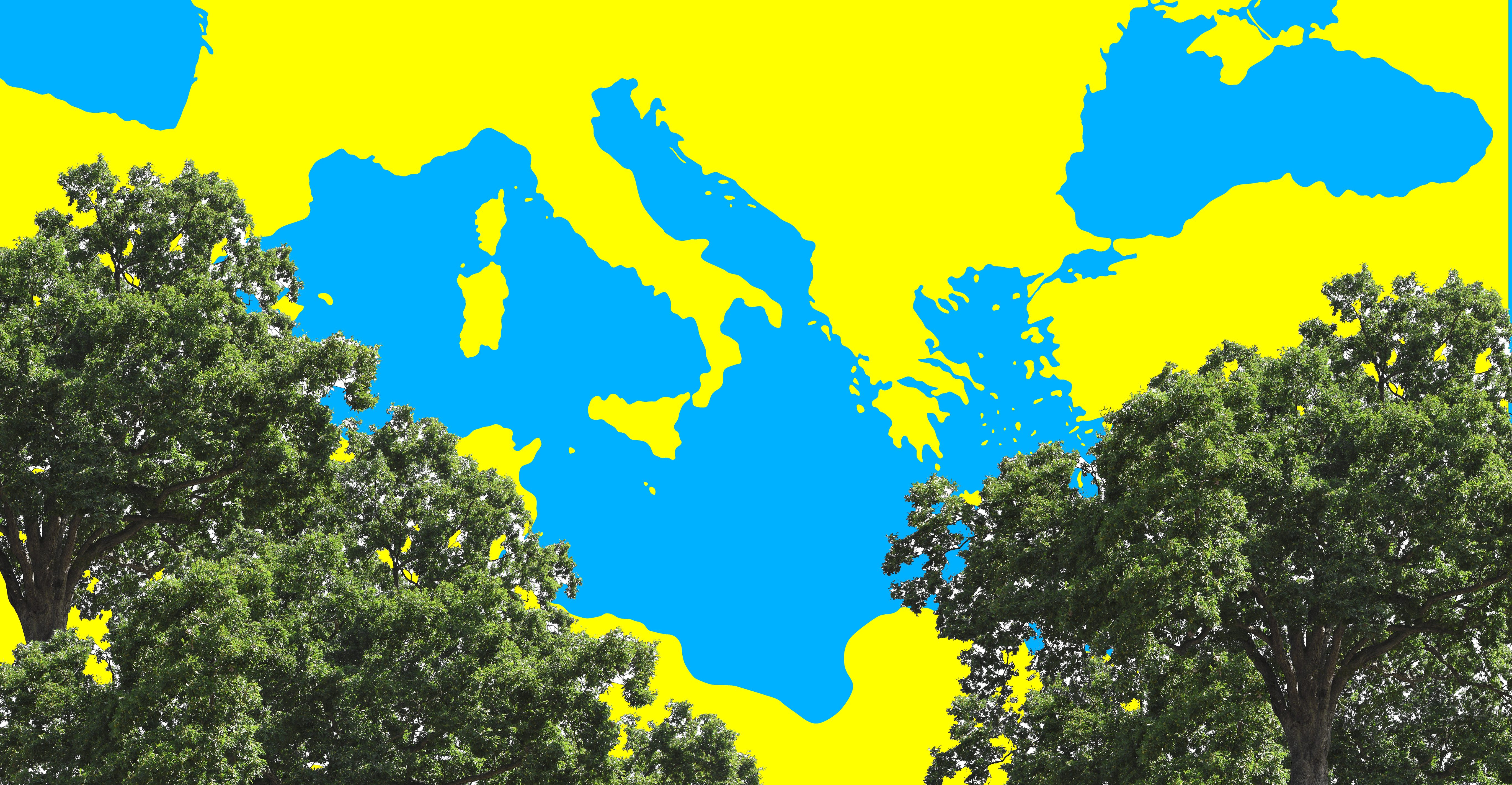La macchia mediterranea: che cos'è, dove si trova e quali specie la