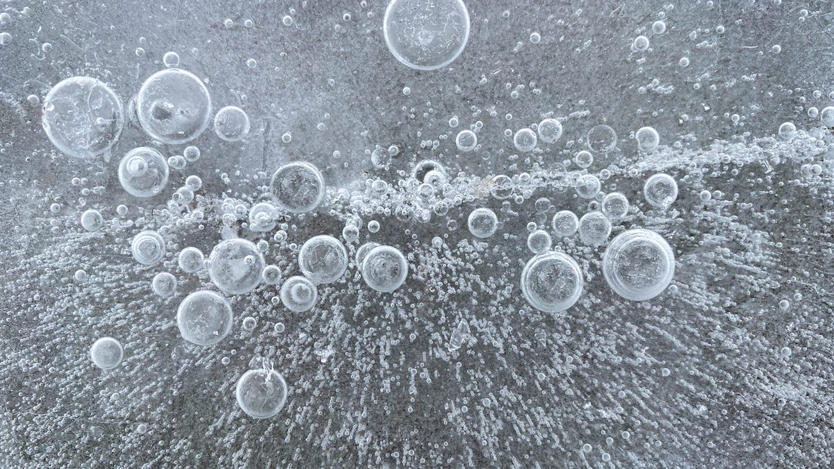 bolle anidride carbonica