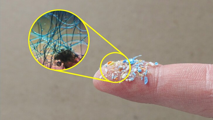 cosa-sono-microplastiche