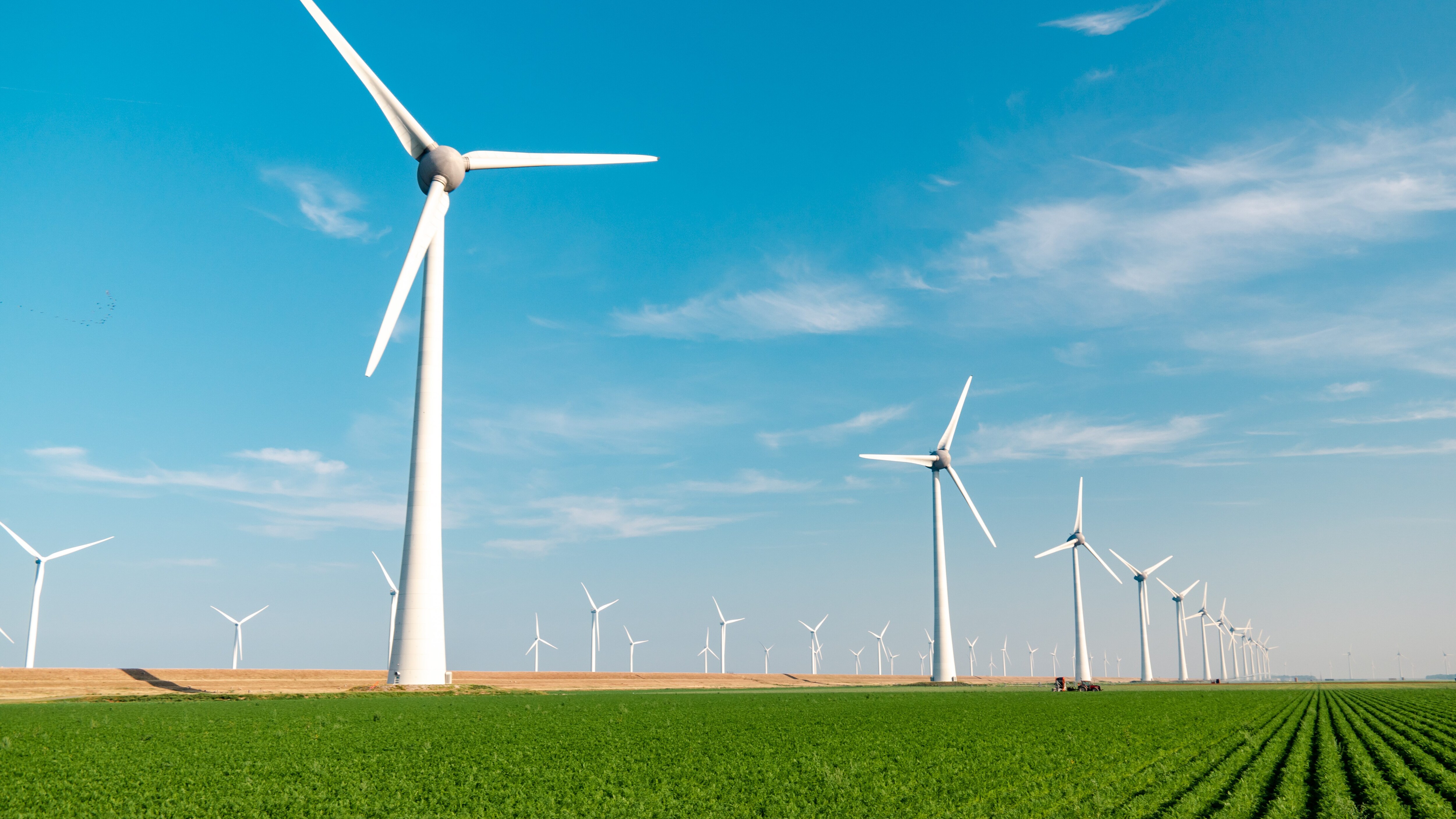 energia eolica