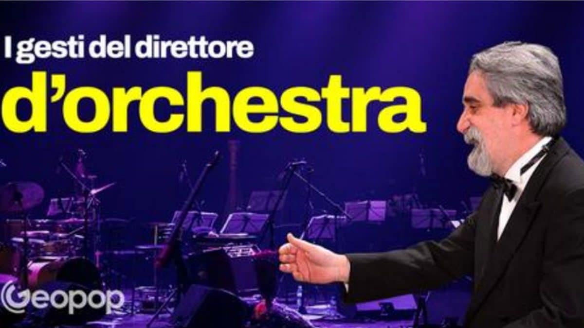 direttore orchestra