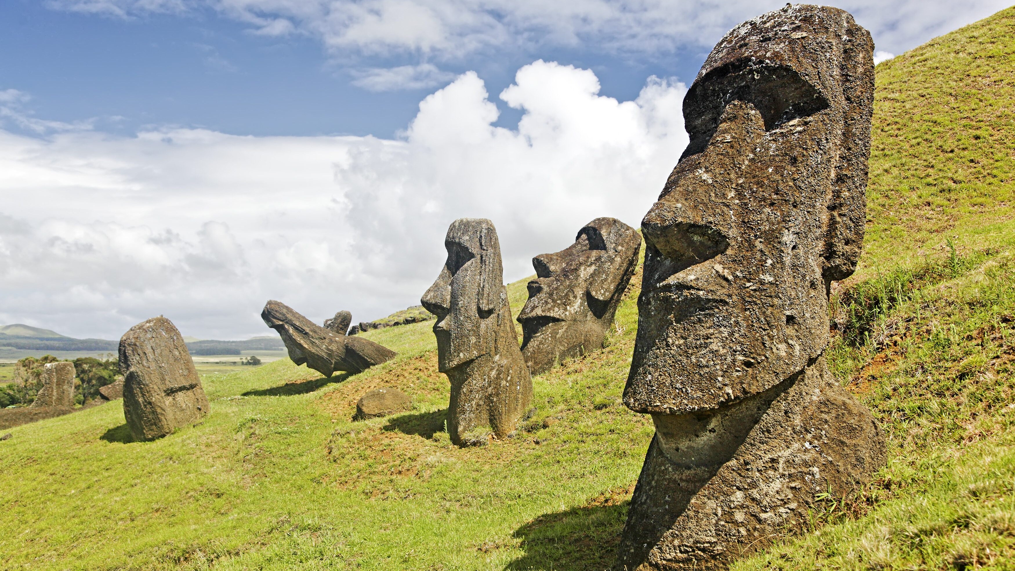Moai dell'isola di Pasqua