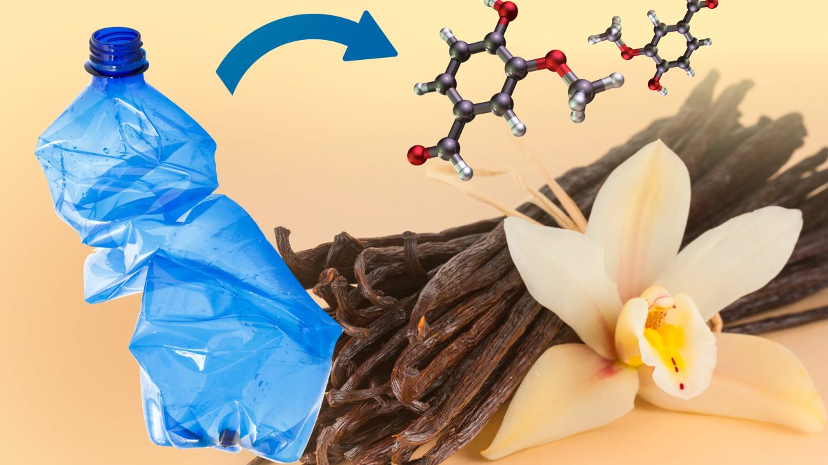 dalla plastica alla vaniglia