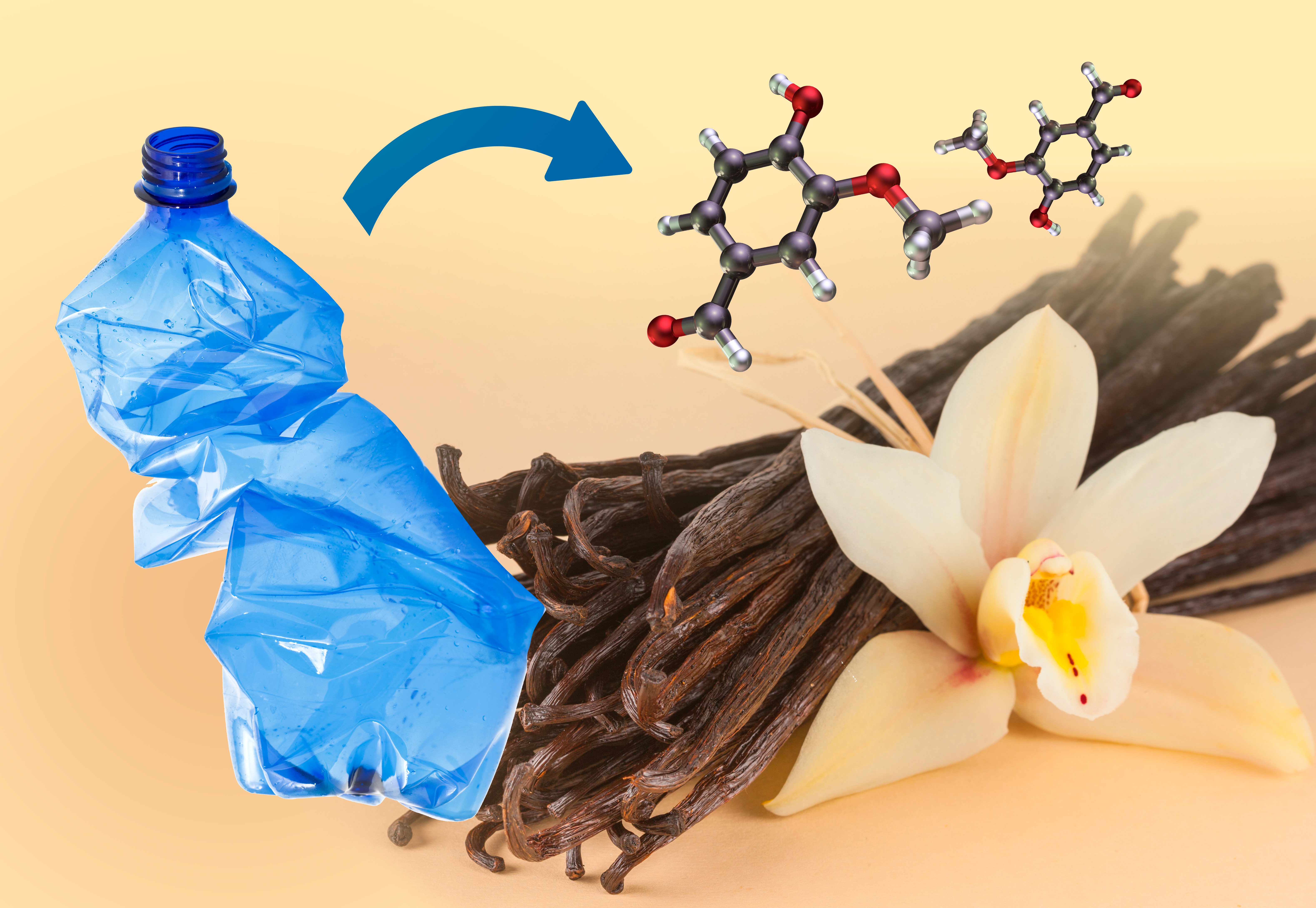 dalla plastica alla vaniglia