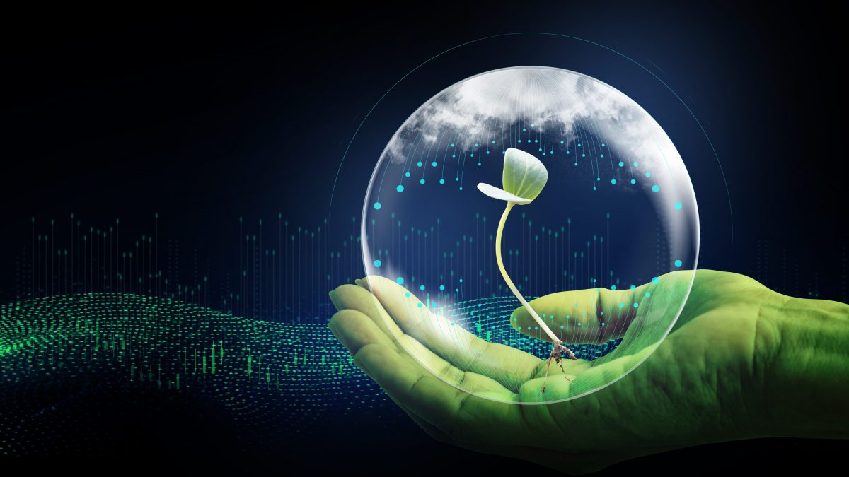 Giornata della Terra sostenibilità