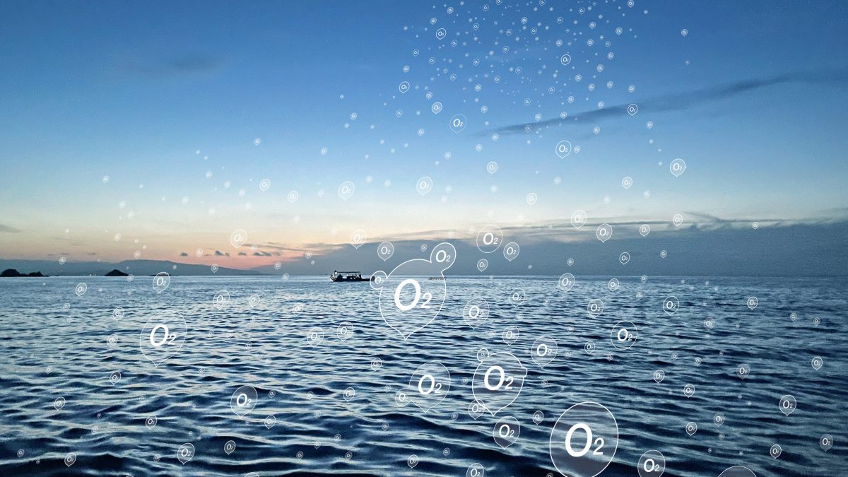 ossigeno dll'oceano