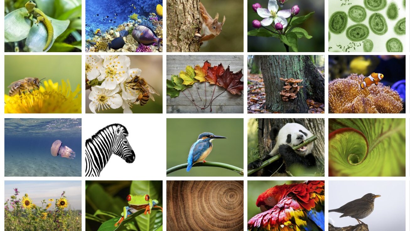 biodiversità