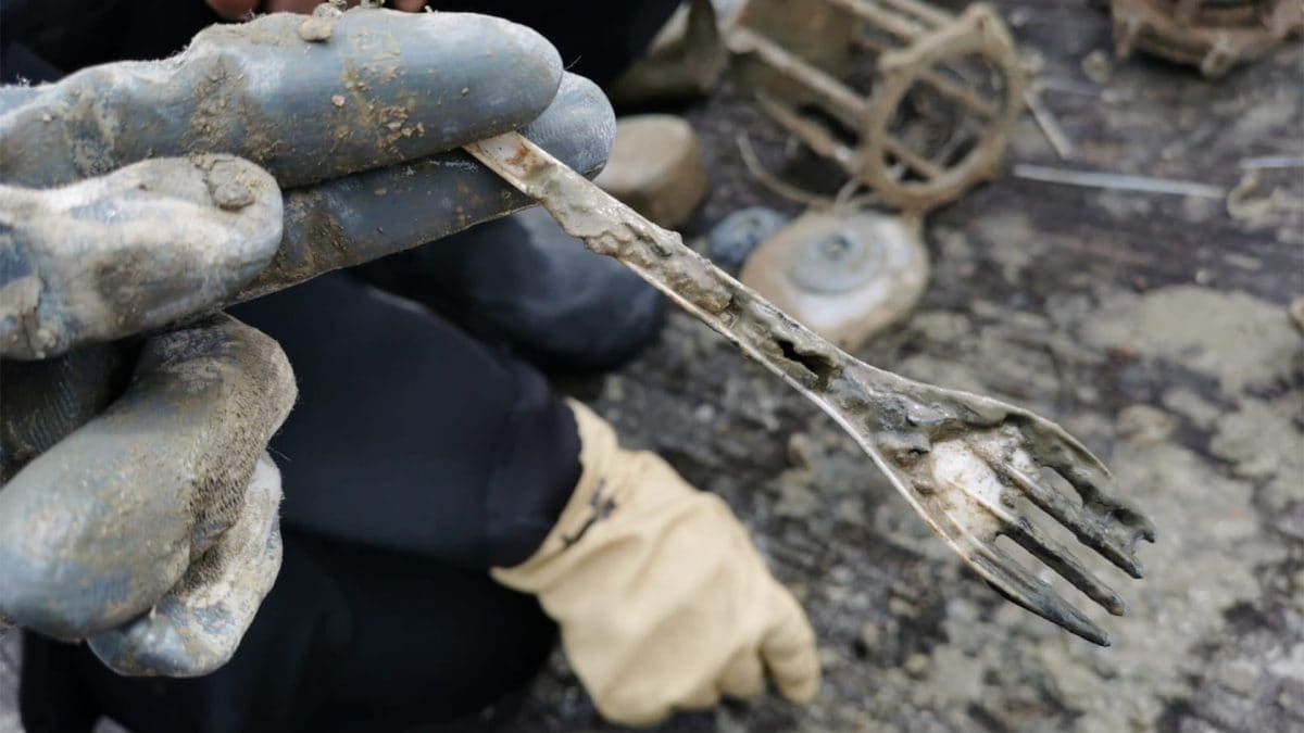 bioplastiche plastica degradazione