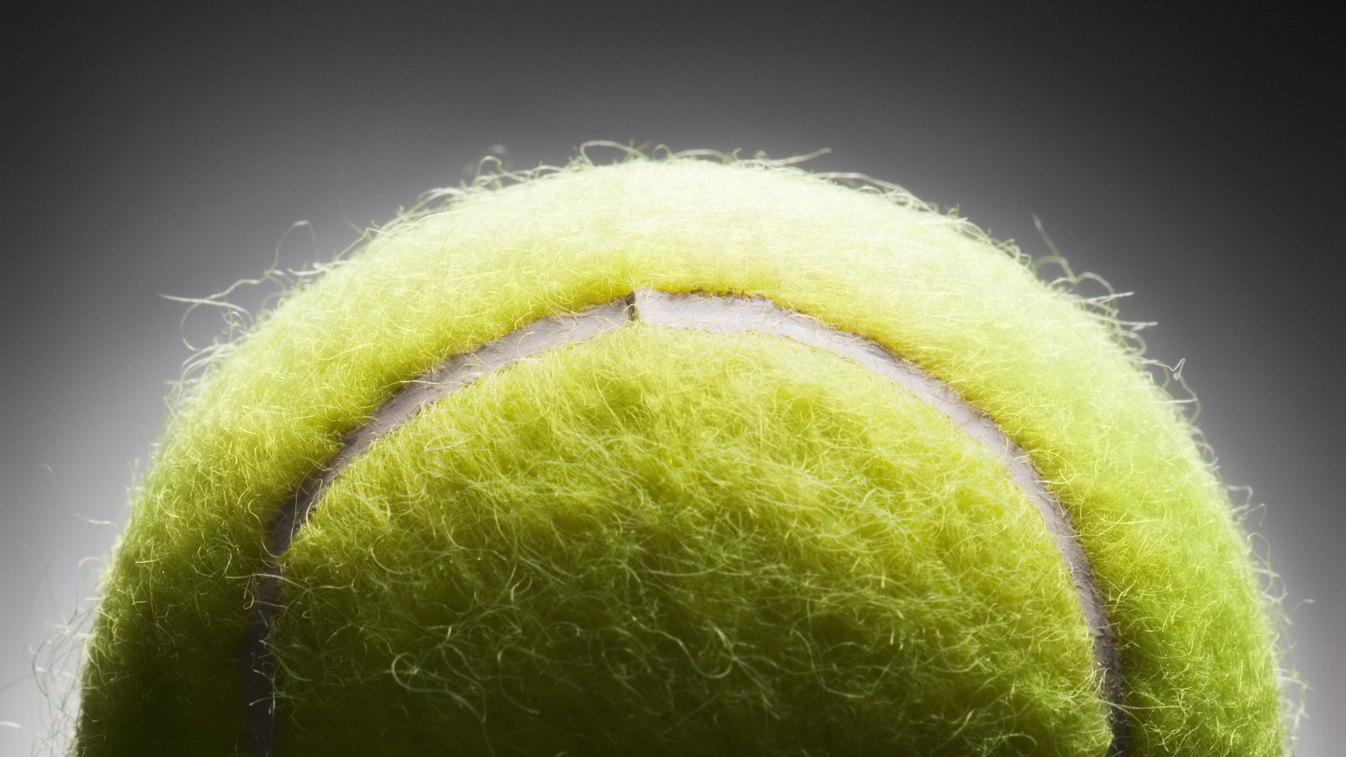 peli tenis pallina