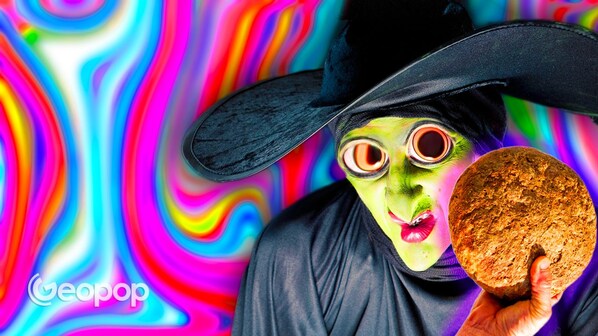 streghe lsd segale