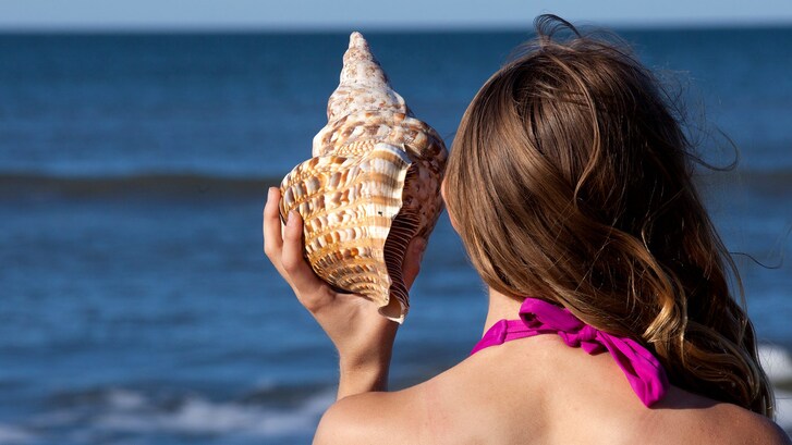 suono_conchiglia