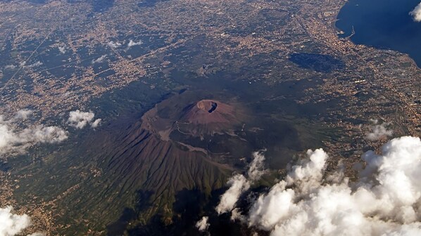 campania tifeho