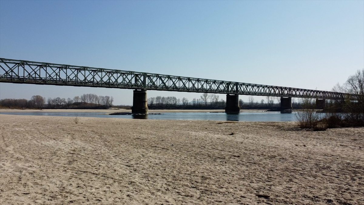 cuneo salino