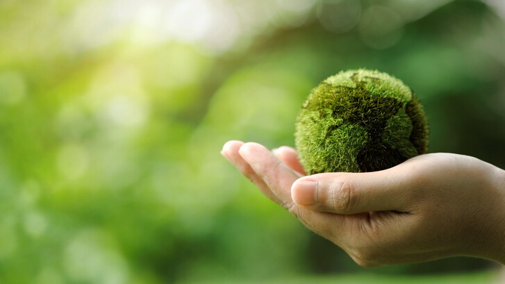 green_sostenibile_rinnovabile