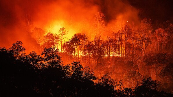 incendi 2022