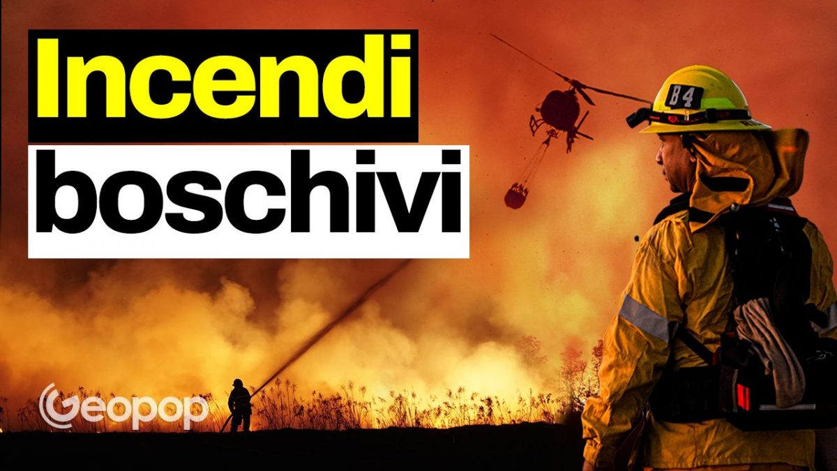 Incendi boschivi