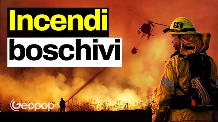 Incendi boschivi