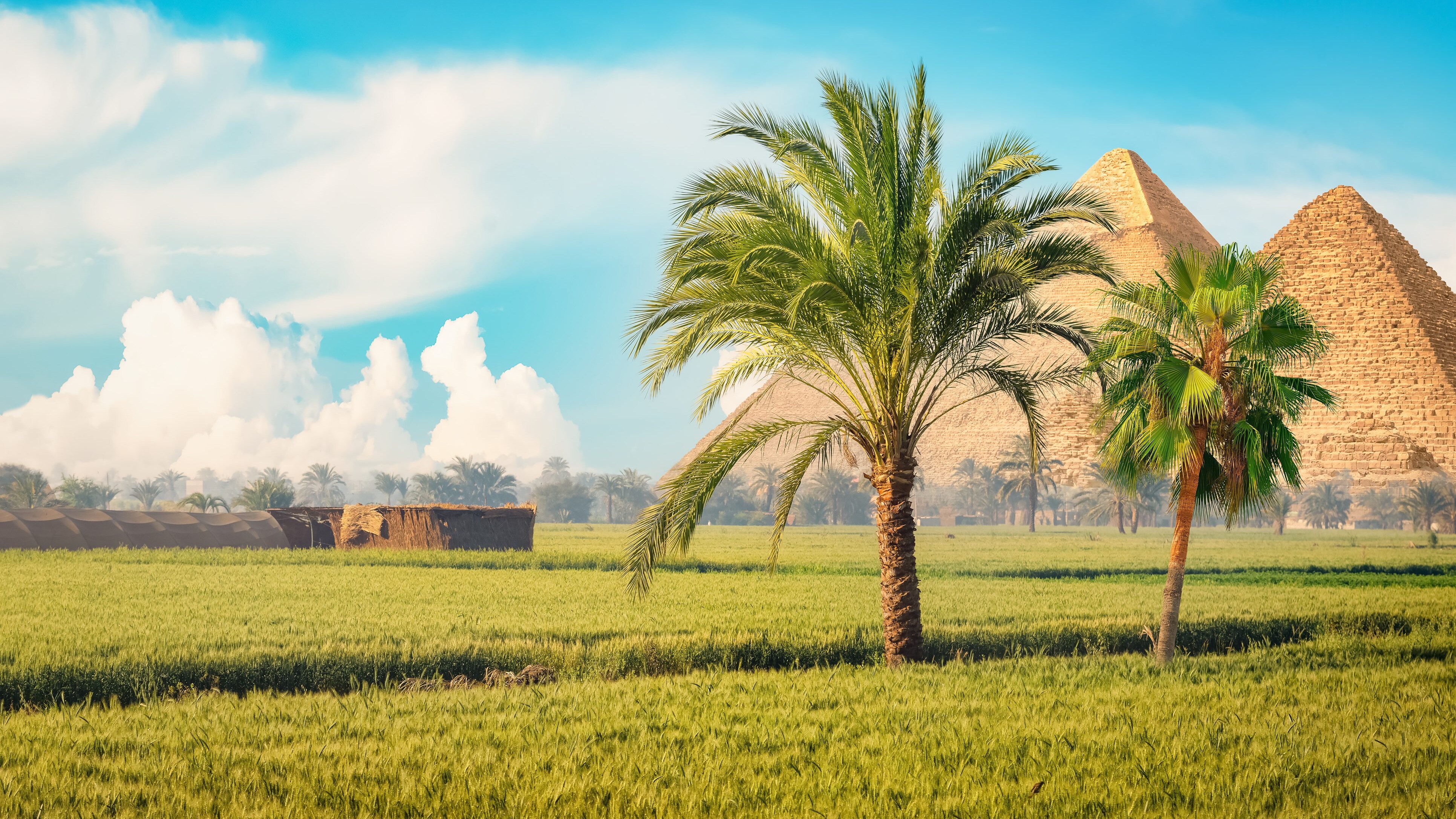 Invenzione agricoltura