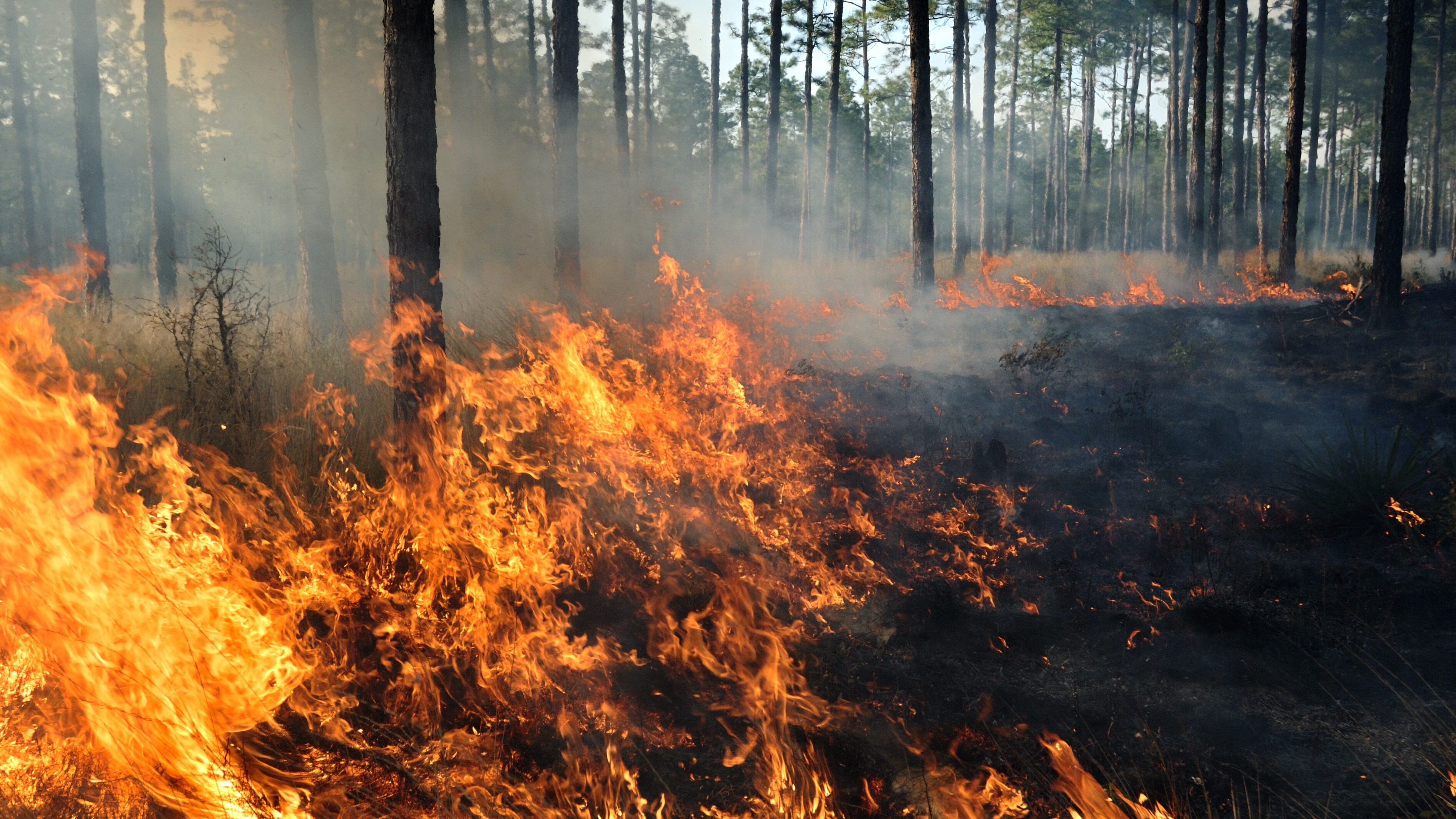 Struttura incendio