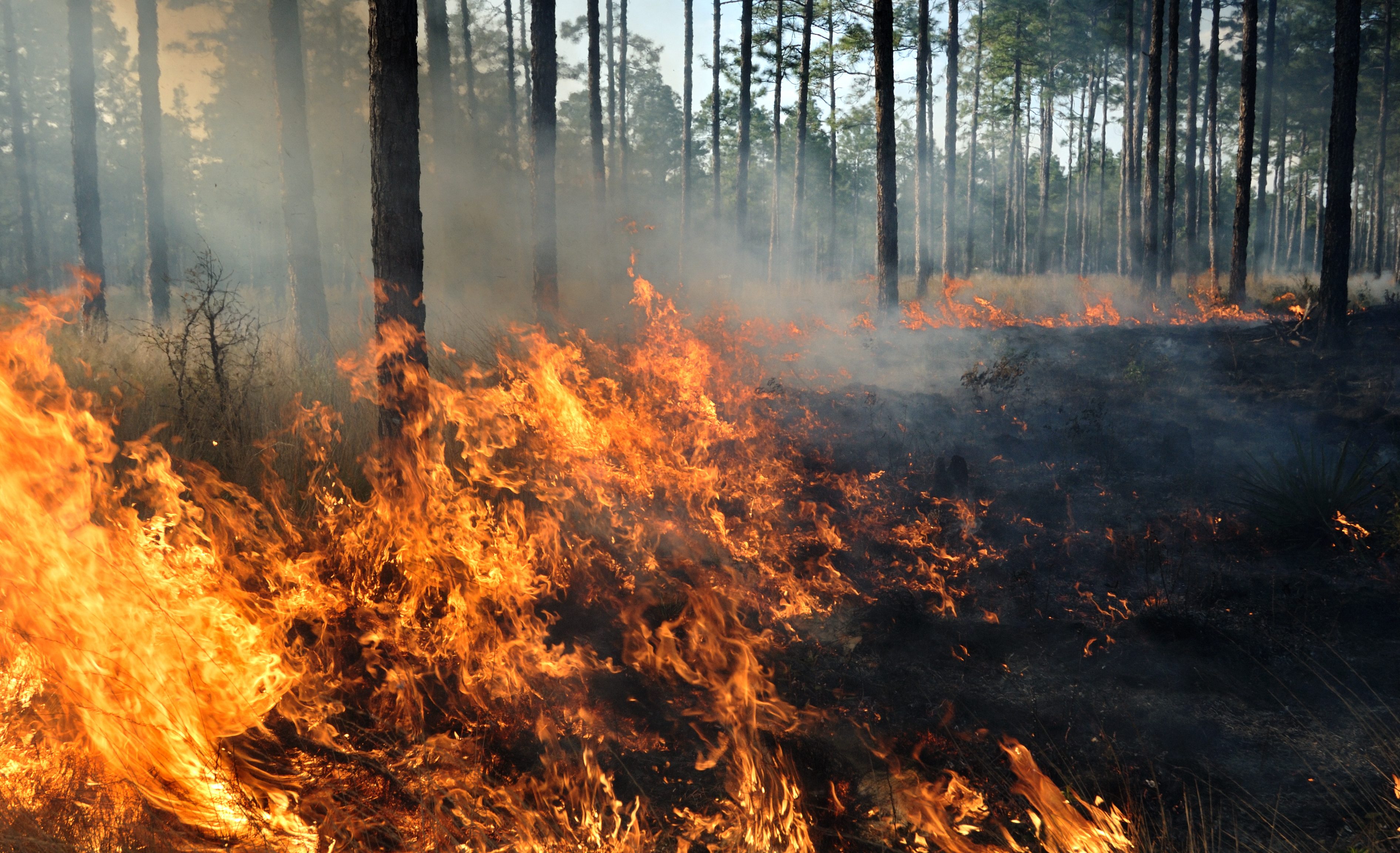 Struttura incendio