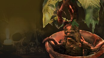 mandragora teschio