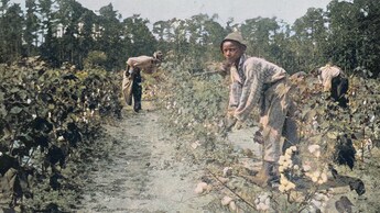 schiavitù storia