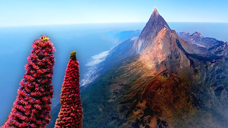 prima di partire per tenerife viaggio e geografia