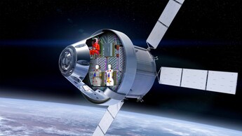 orion manichini