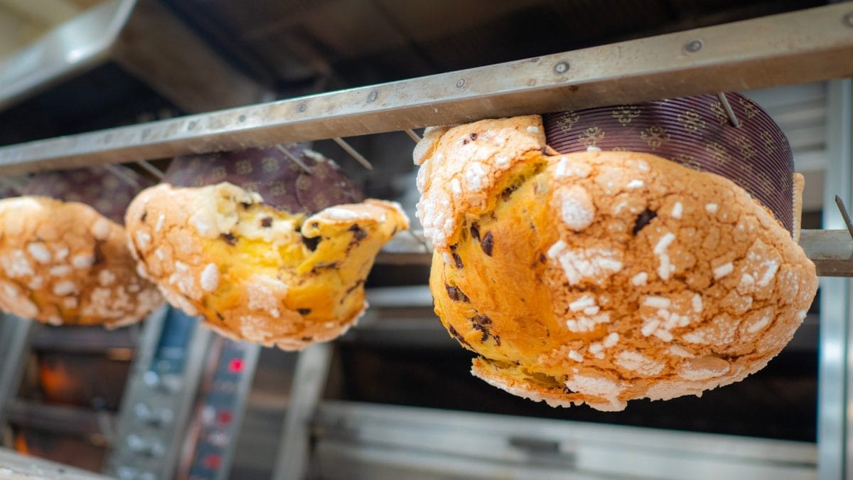 produzione panettoni