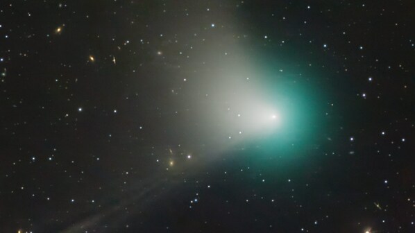 cometa neanderthal