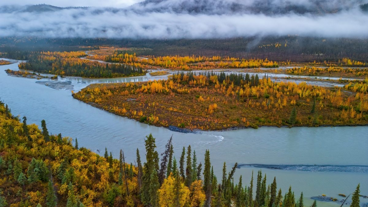 differenza tra steppa taiga e tundra