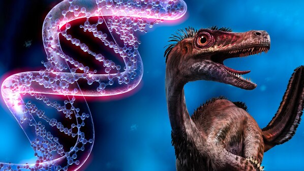 dinosauri da dna pollo