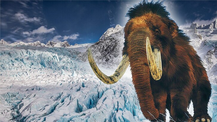 copertina glaciazione