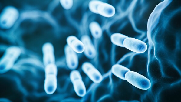 batteri antibiotici