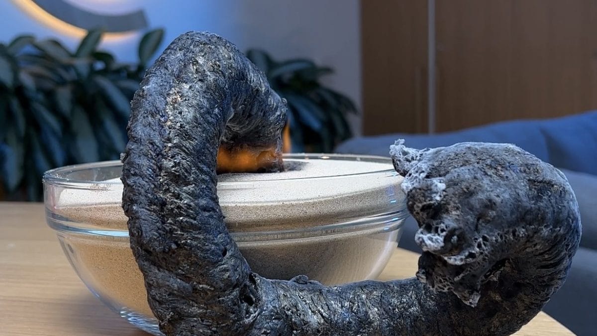 esperimento serpente di fuoco