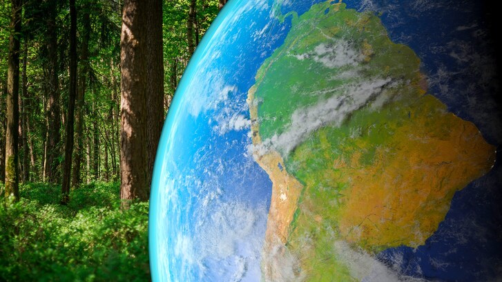foreste satellite