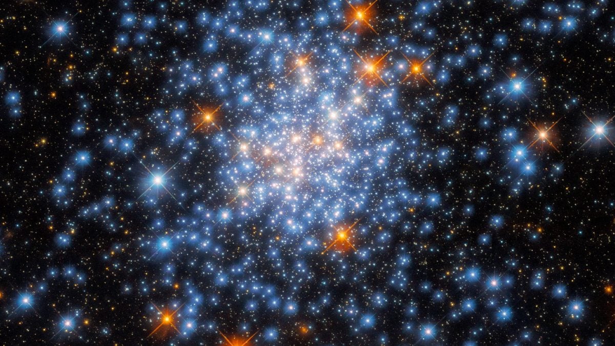 stelle colori diversi