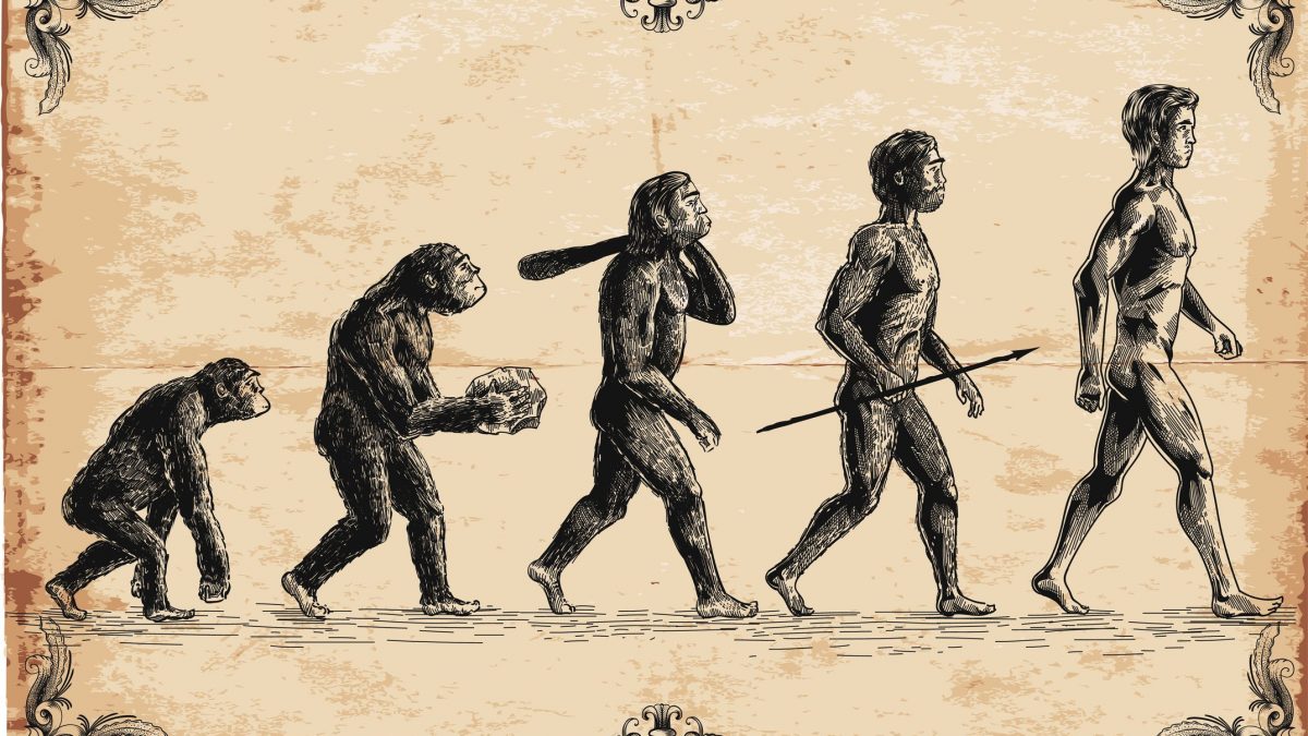 teoria convergenza evolutiva