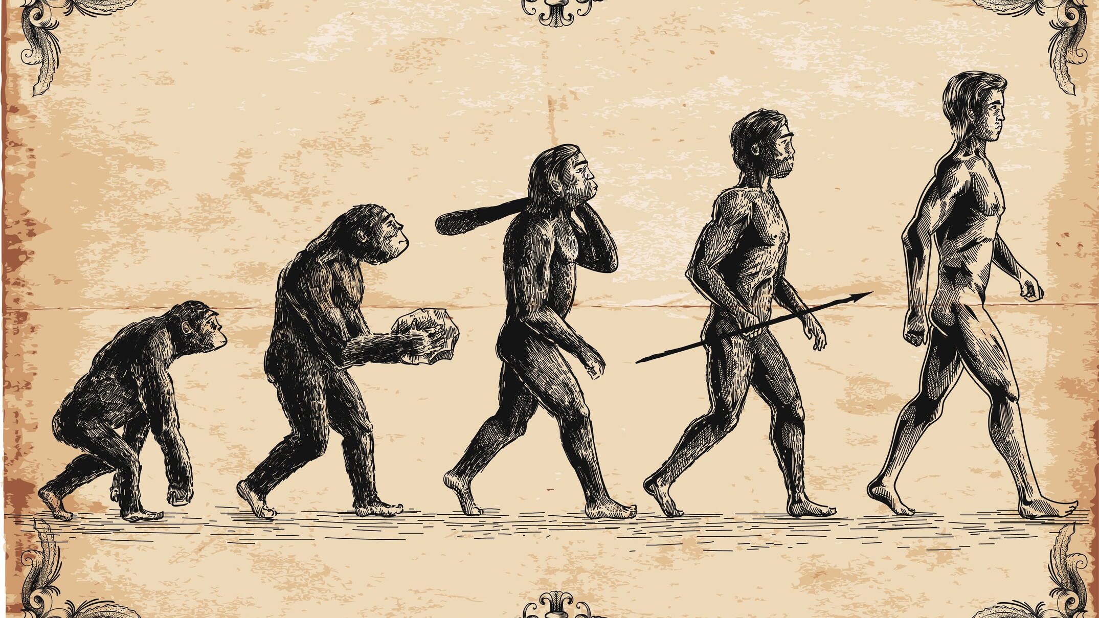 teoria convergenza evolutiva