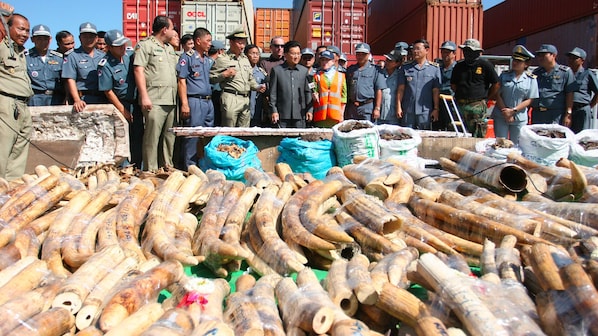 vietnam sequestro avorio