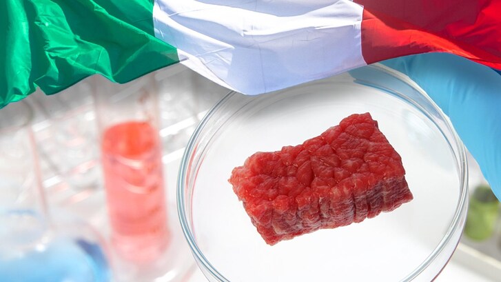 carne sintetica vietata in italia
