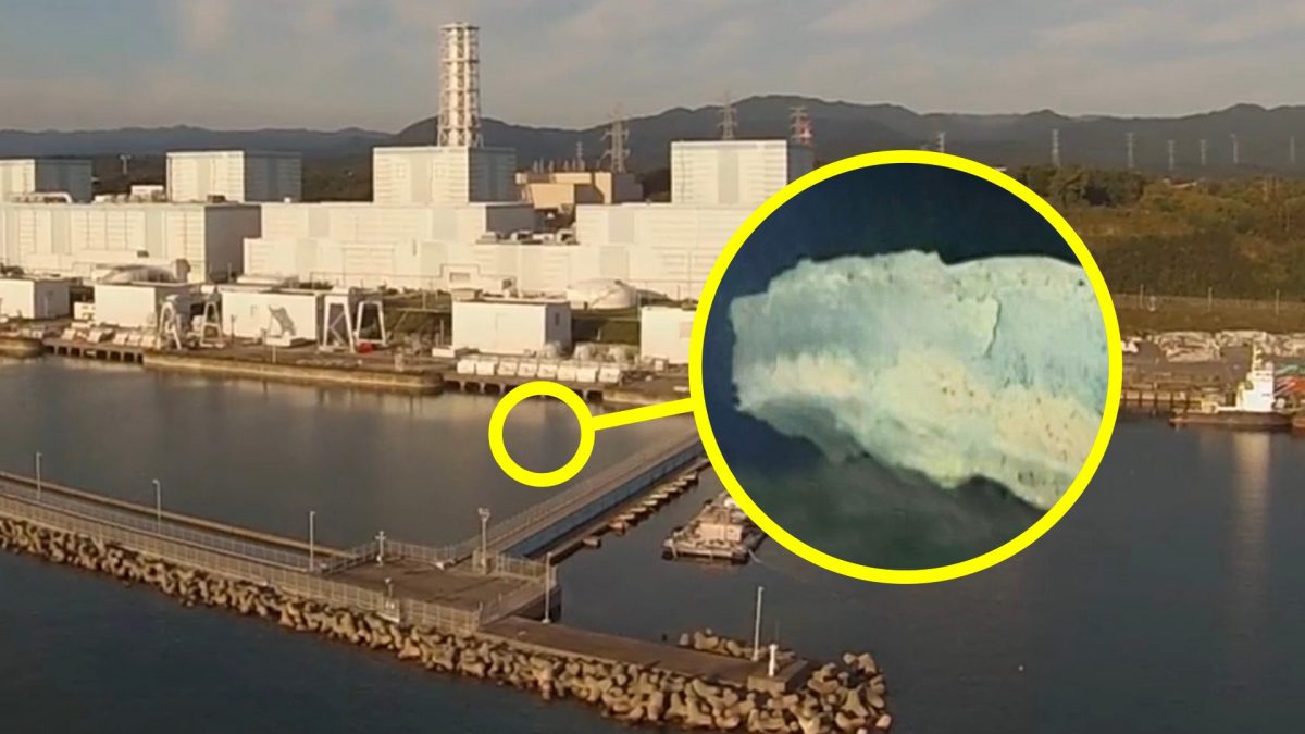 fukushima danno piedistallo