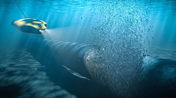 impatto nordstream