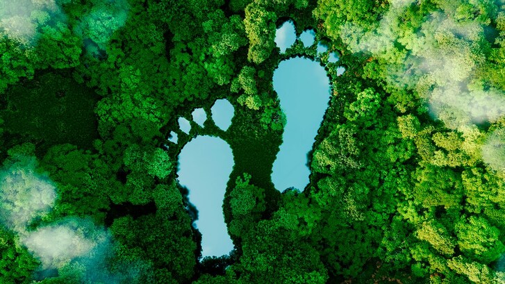 impronta ecologica